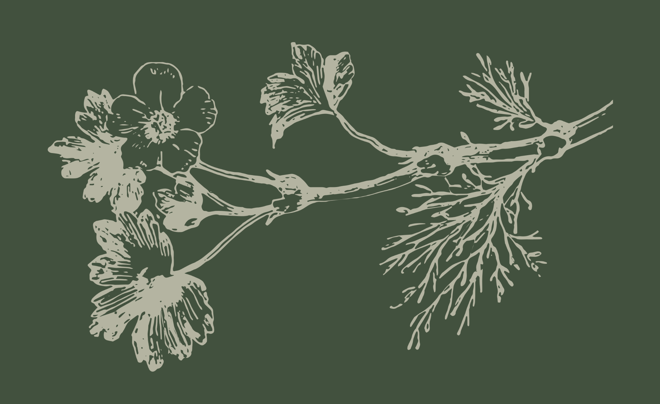 Botanical branch illustration